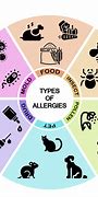 Image result for Allergy Types