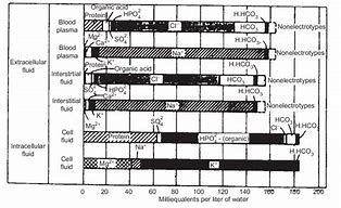 Image result for Plasma vs Interstitial Fluid