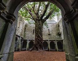 Image result for Medieval Irish Village