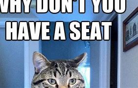 Image result for Payroll Cat Meme