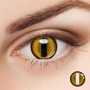 Image result for Snake Eye Contact Lenses