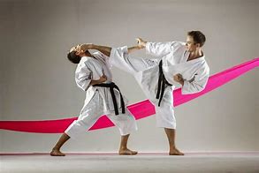 Image result for Japanese Shotokan Karate
