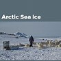 Image result for Artic 1990 vs 2020