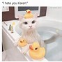 Image result for Karen and White Cat Memes