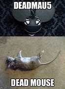 Image result for Funny Computer Mouse Dead