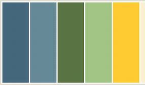 Image result for The Color Grey or Gray