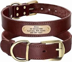 Image result for Small Leather Dog Collars