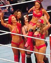 Image result for Brie and Nikki Bella Photo Shoot