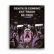 Image result for Eat Trash Be Free Meme