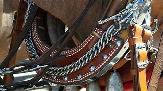 Image result for Wooden Racing Harness