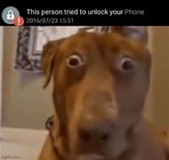 Image result for Dog with Phone Eyes Meme
