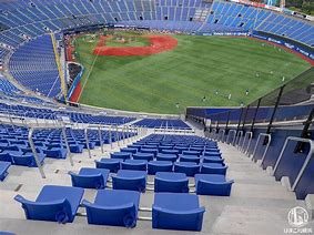 Image result for Yokohama Stadium Wing Seats