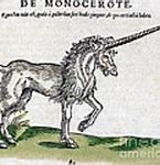 Image result for Real Unicorn Images