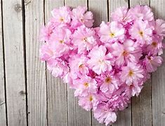 Image result for Love Flowers Wallpapers
