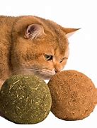 Image result for Catnip Ball