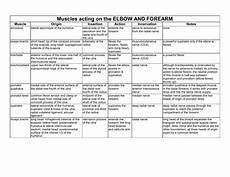 Muscle Actions Chart Forearm Muscles Origin And