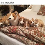 Image result for Dog Meme Want a Break From the Ads