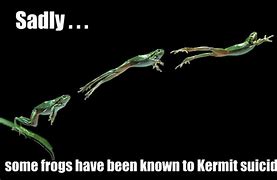 Image result for Kermit Sith Meme