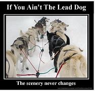 Image result for Sled Dog Quotes