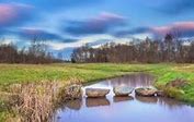 Image result for Stepping Stones Water