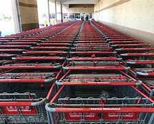 Image result for Costco Shopping Cart