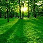 Image result for Best Nature Thumbnail
