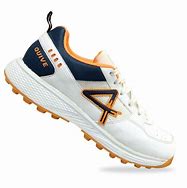 Image result for Sega Cricket Shoes