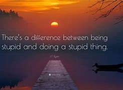 Image result for There Is a Difference Between Fun and Stupid Quotes