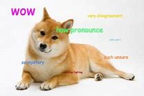 Image result for Confused Doge Meme