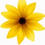 Image result for Yellow Aesthetic Flower Transparent