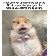 Image result for Apush Memes