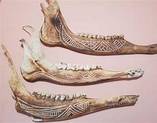 Image result for Deer Jawbone Artifact