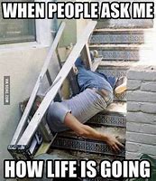 Image result for Memes About Life Being Funny