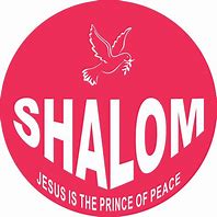 Image result for Shalom Logo