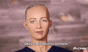 Image result for Human Robots in China