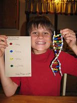 Image result for Summer Science Experiments