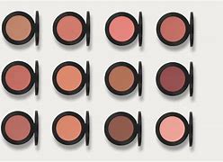 Image result for Mac-style Blush