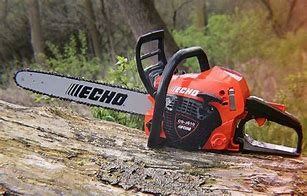 Image result for Echo Chainsaw CS 6-20P