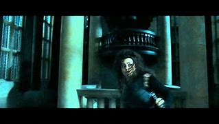 Image result for Bellatrix and Hermione Granger