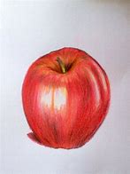 Image result for Realistic Apple Drawing