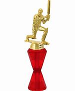 Image result for Exotic Cricket Trophies