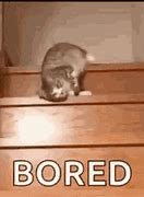 Image result for Bored Memes Funny