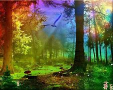 Image result for Mystical Forest Rainbow