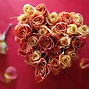 Image result for Valentine Flowers iPhone Wallpapers