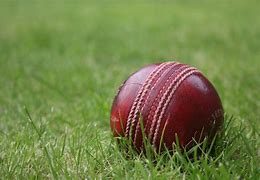 Image result for Cricket Gallery