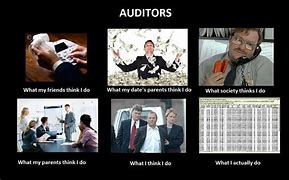 Image result for Internal Audit Funny Memes