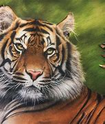 Image result for Colored Pencil Animal Drawings