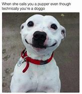 Image result for Happy Dog Face Meme