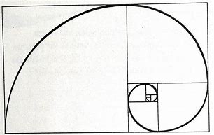 Image result for Golden Ratio Square