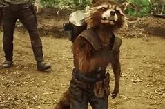 Image result for Rocket Gotg Memes